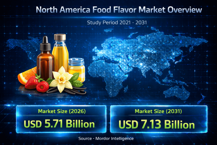 North America Food Flavor Market Size to Hit USD 7.13 Billion by 2031, Growing at 4.55% CAGR with Rising Natural Ingredients Trend